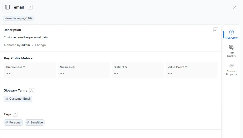 The email column with a description, the Customer Email glossary term, and Personal + Sensitive tags